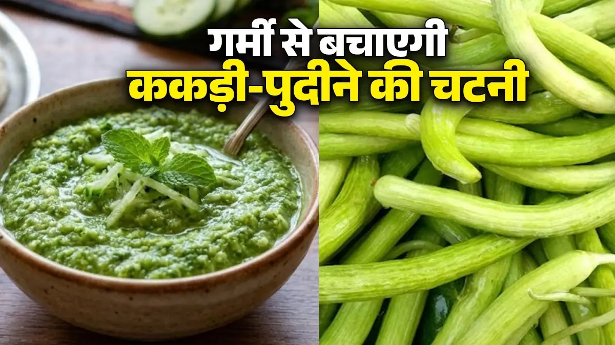 Kakdi Pudina Ki Chutney Recipe: गर्मी से बचने के लिए घर में बनाकर खाएं ककड़ी-पुदीने की चटपटी चटनी, चावल-रोटी सबके साथ लगेगी बेस्ट; नोट करें विधि kakdi pudina chutney recipe for summer Armenian Cucumber and mint leaves chutney recipe