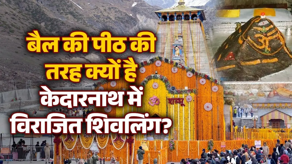 Kedarnath Yatra 2026: बैल की पीठ की तरह क्यों है केदारनाथ में विराजित शिवलिंग? महाभारत काल से है गहरा नाता; जानिए क्या Kedarnath Yatra 2026