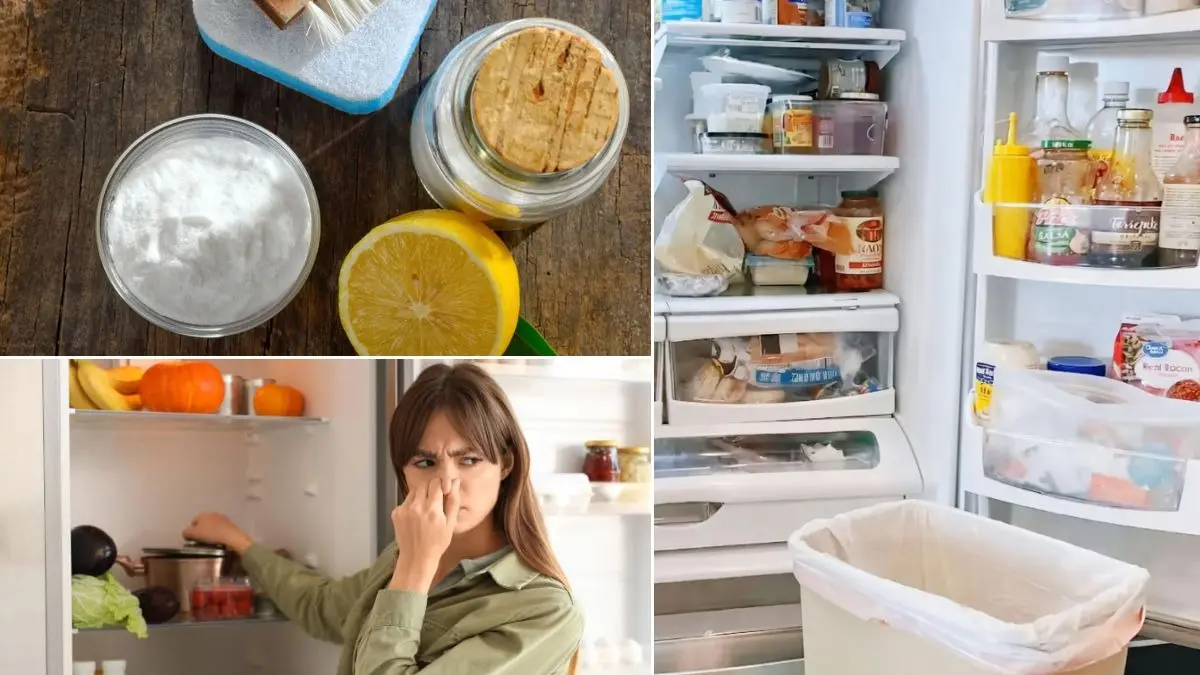 Kitchen Hacks: फ्रिज की बदबू को 10 मिनट में करें गायब, बेकिंग सोडा, सिरका और नींबू से ऐसे करें डीप क्लीनिंग; कोना-कोना चमक उठेगा Kitchen Hacks