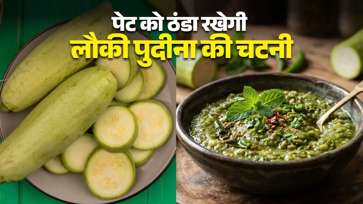 Lauki Pudina Ki Chutney Recipe: गर्मी में पेट को ठंडा रखेगी लौकी पुदीना की चटपटी चटनी, चावल-रोटी के साथ बच्चे भी करेंगे एन्जॉय; नोट करें विधि lauki-pudina-chutney-recipe for summer lauki-pudina-ki-chutney-recipe-bottle gourd and mint chutney Ghiya pudina ki chutney chatpati recipe