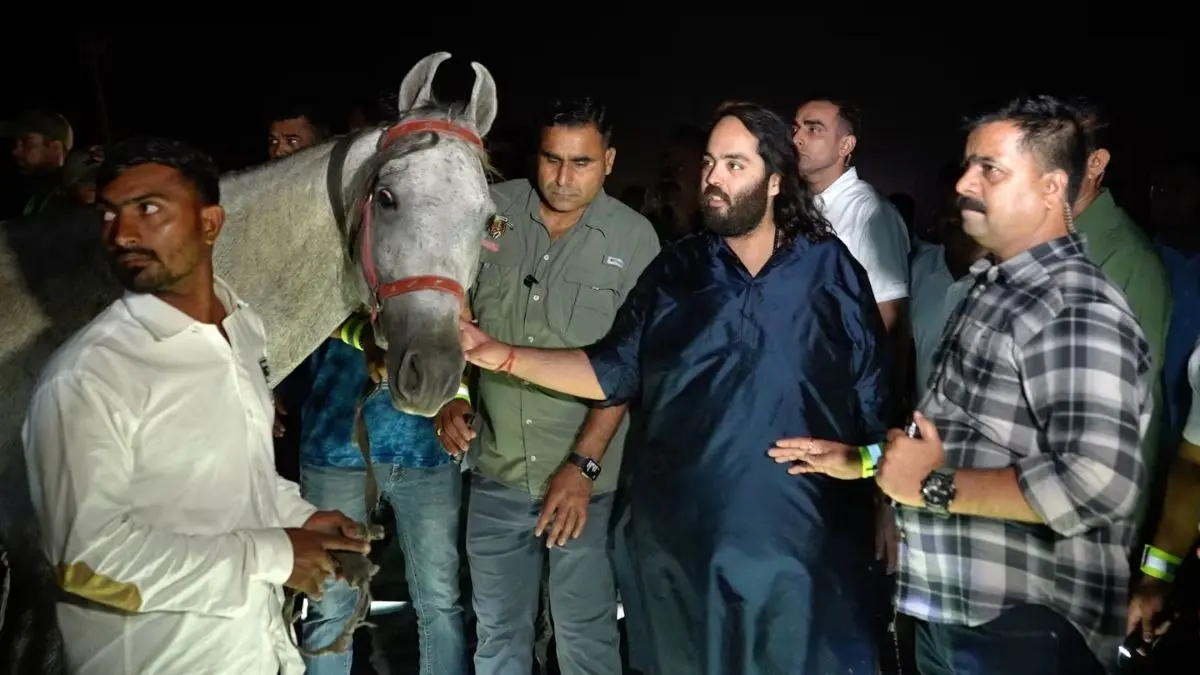 माथेरान में घोड़ों के लिए बड़ी पहल: अनंत अंबानी ने कराया मुफ्त वैक्सीनेशन और शुरू की स्थायी चिकित्सा सुविधा Major Initiative for Horses in Matheran Anant Ambani