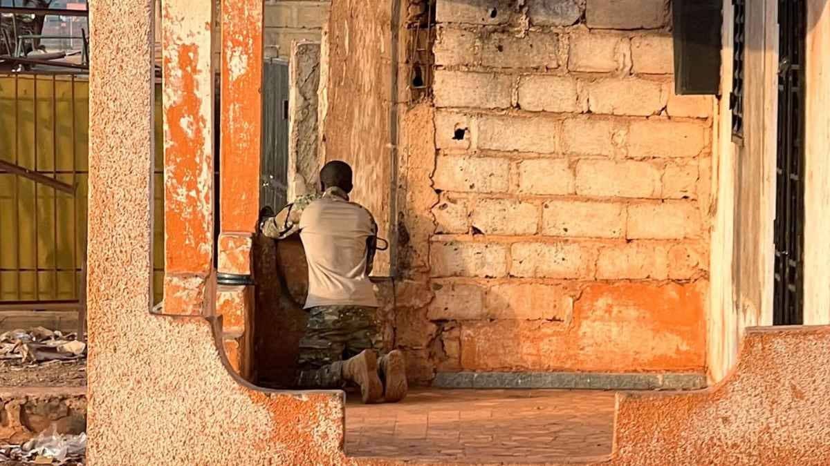 'Firm Commitment To Combating Terrorism': India Expresses Condolences Over Mali Defence Minister's Death