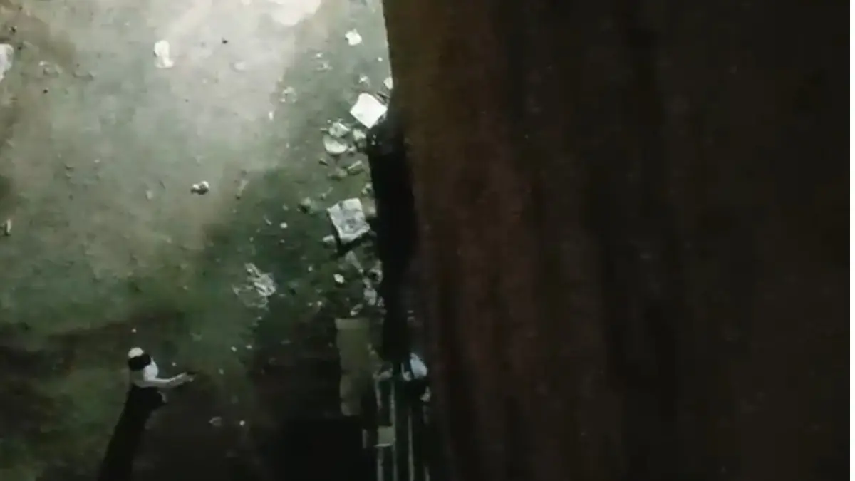 'Koi Bacchao': Moment When Mira Road Attacker Kept On Stabbing Guards | Chilling Video Inside mira road