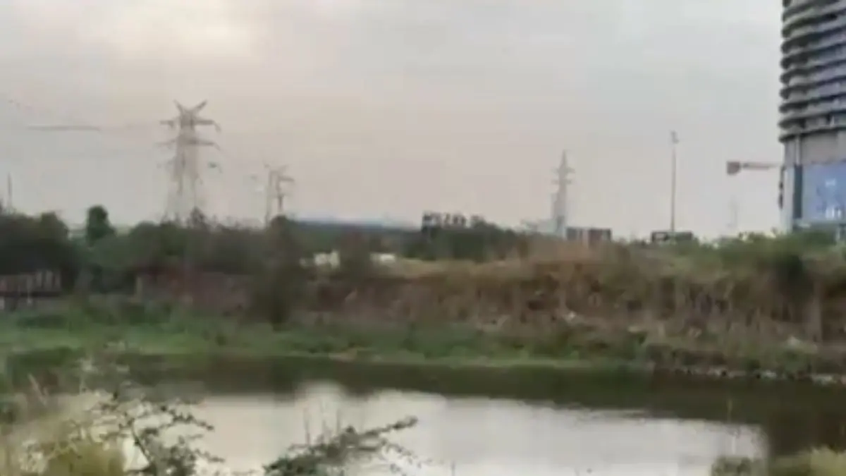 Mother Suspects 'Foul Play' After Student Found Dead in Noida Pond; Cites 'Bruises' and Disciplined Habits Mother Suspects 'Foul Play' After Student Found Dead in Noida Pond; Cites 'Bruises' and Disciplined Habits