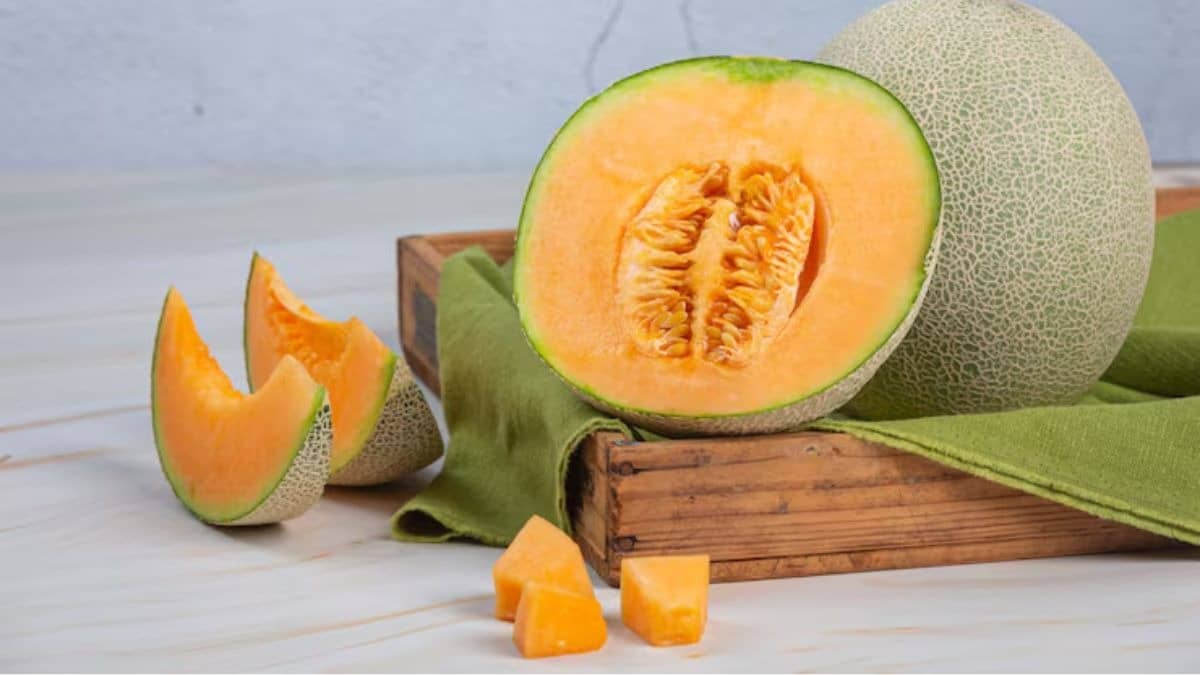 muskmelon buying tips
