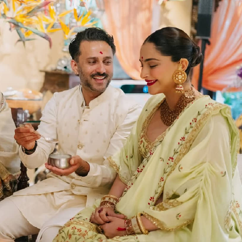 Description of the pic