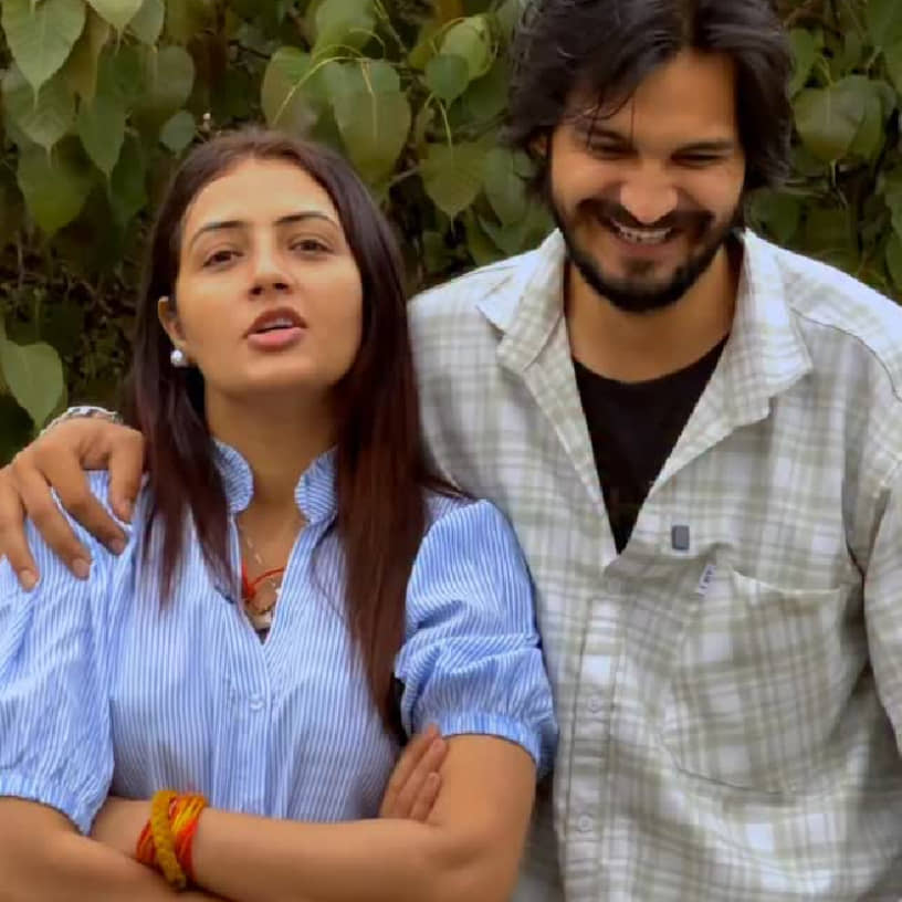 Description of the pic