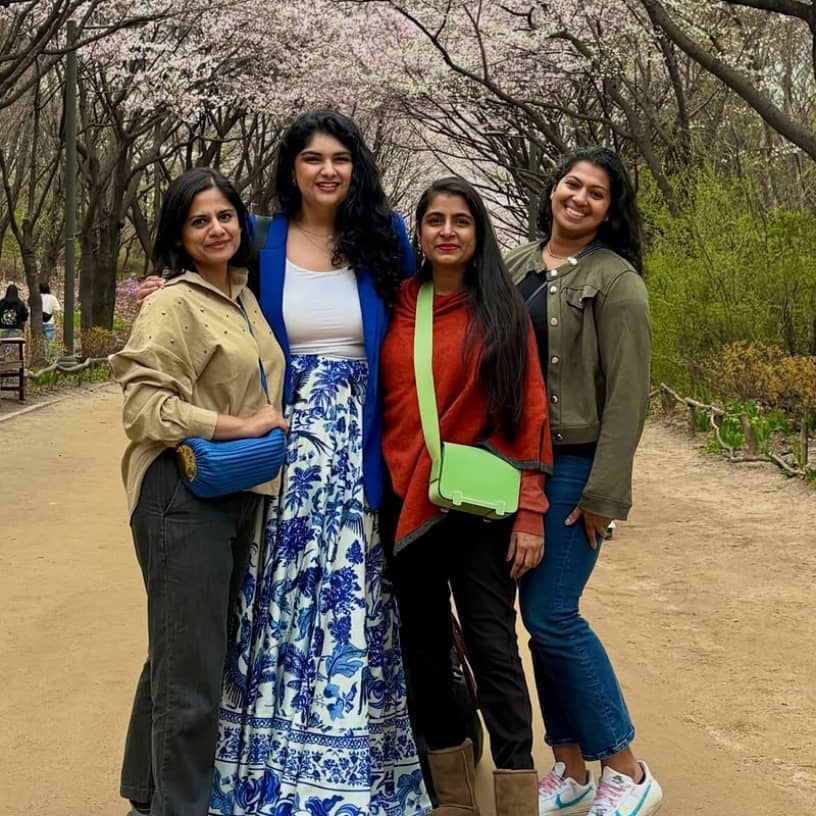 Description of the pic