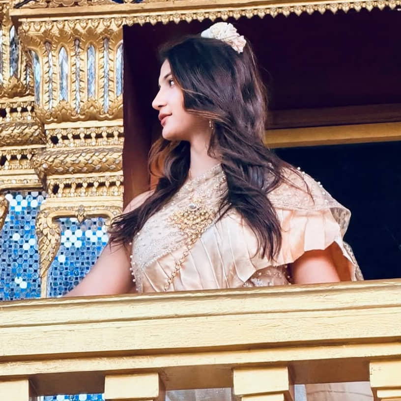 Description of the pic