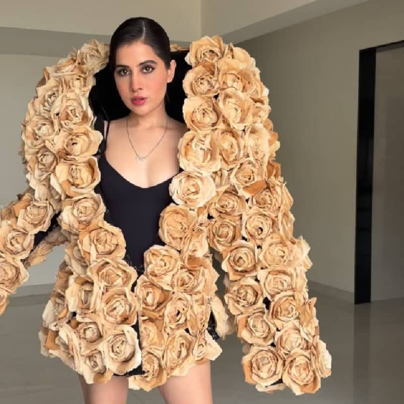 Description of the pic