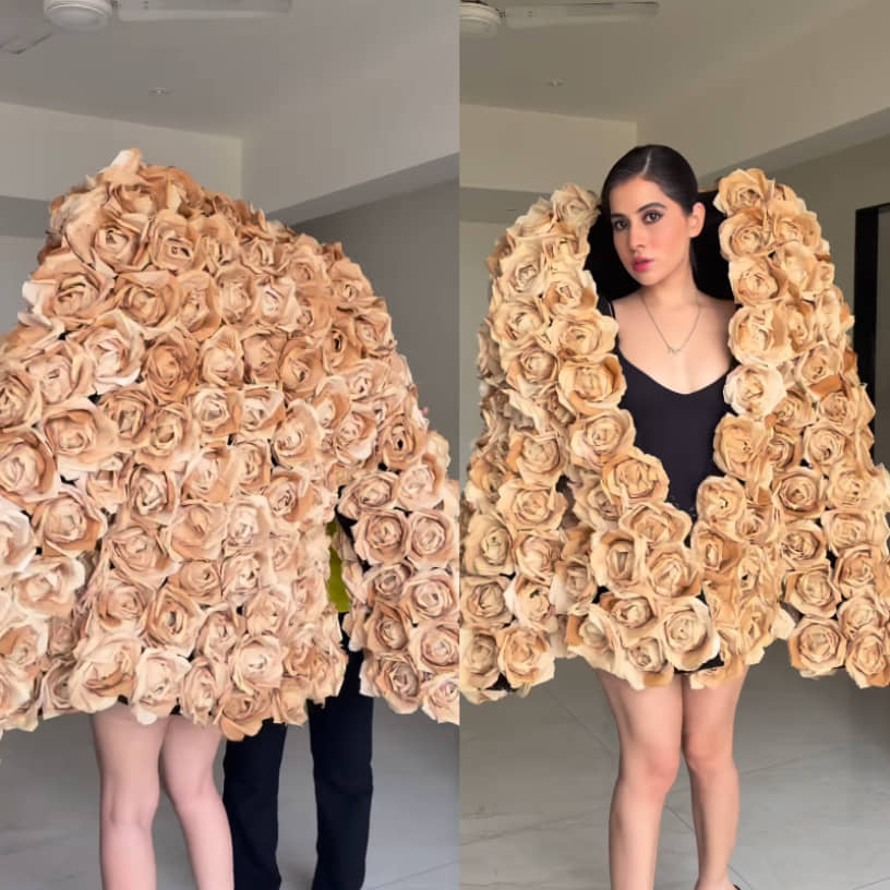 Description of the pic