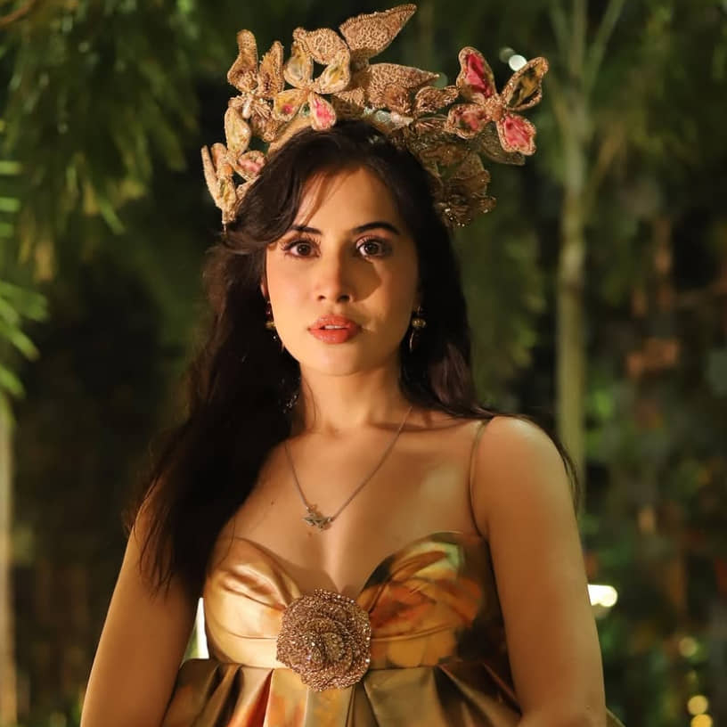 Description of the pic