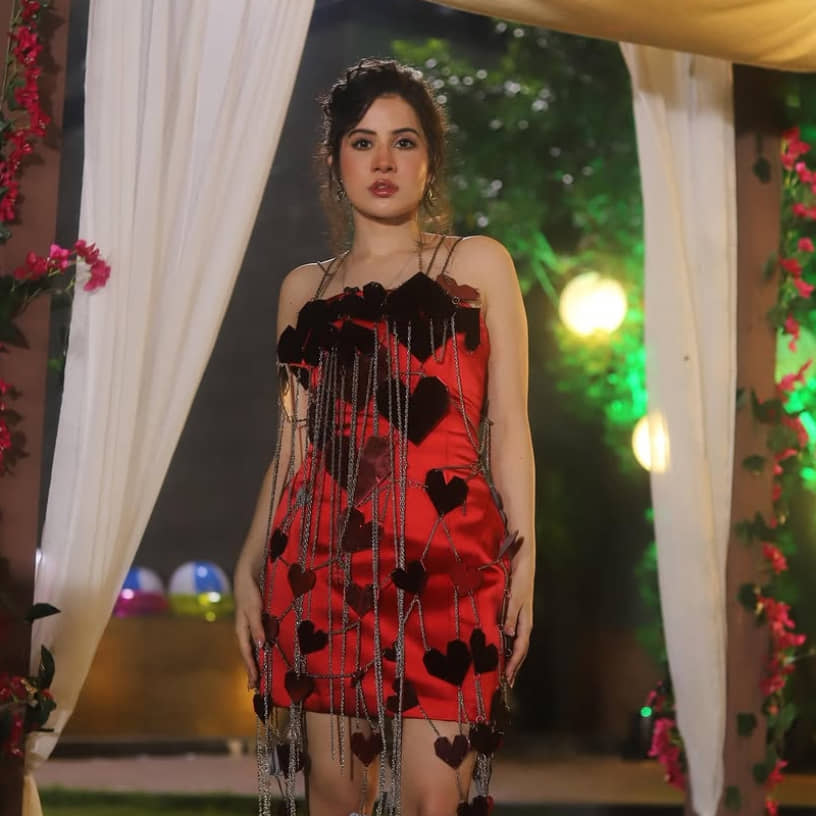 Description of the pic