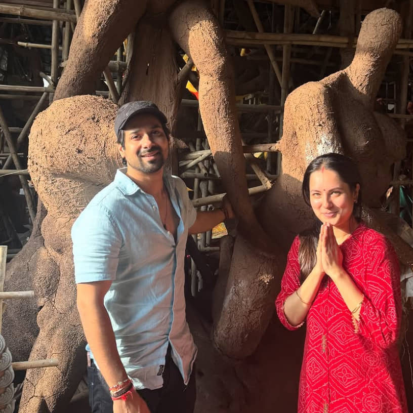 Description of the pic