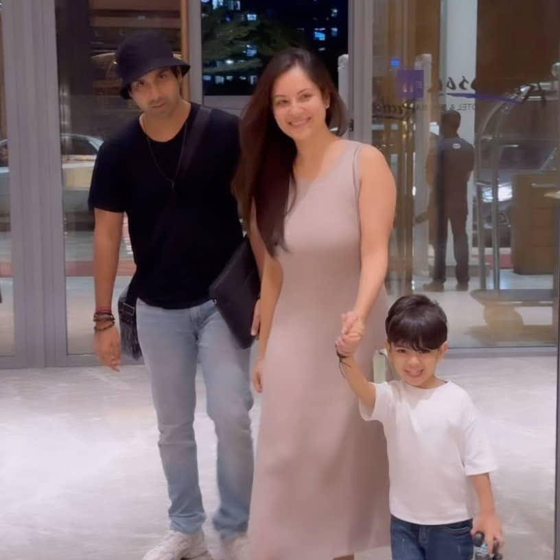 Description of the pic