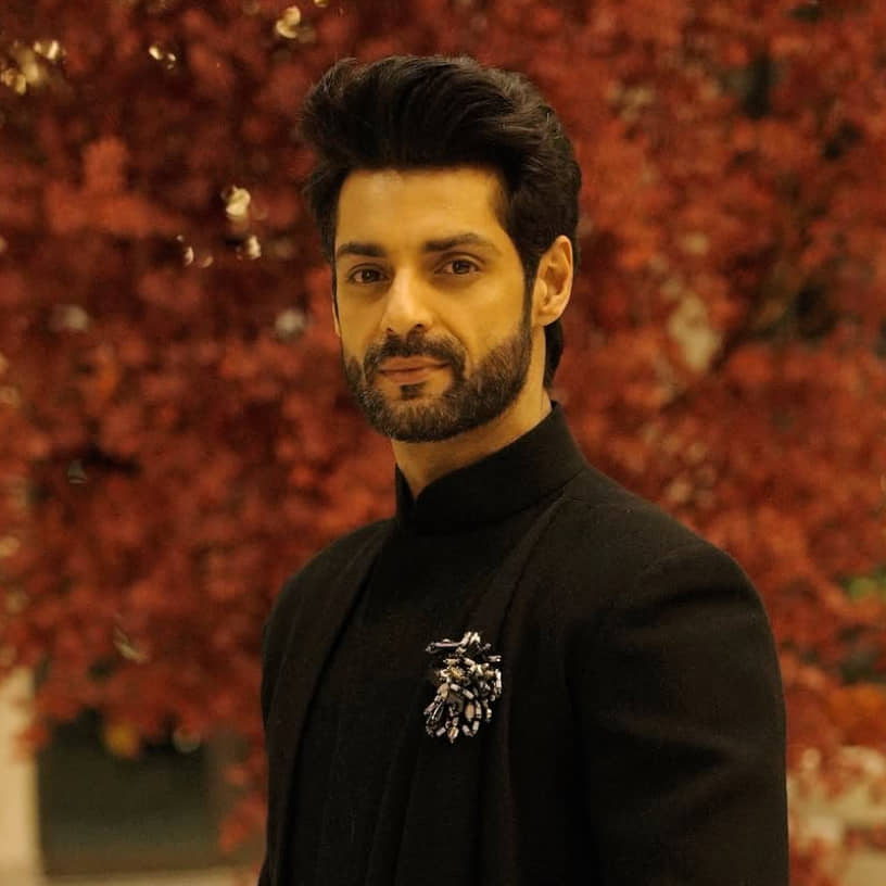 Description of the pic