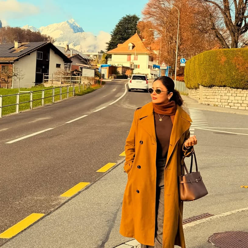 Description of the pic