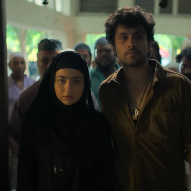 Description of the pic