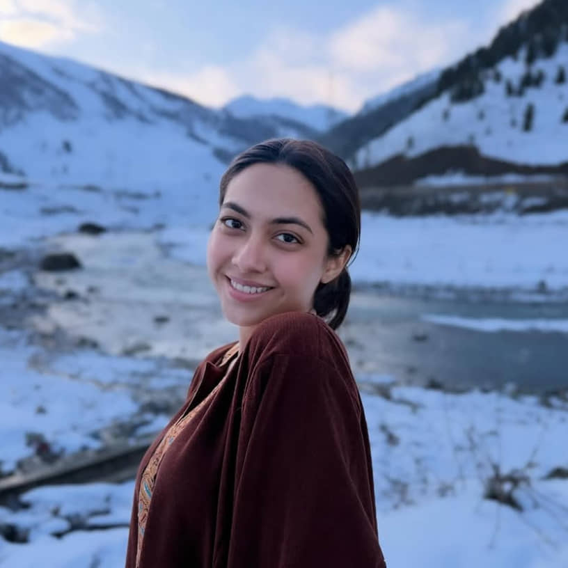 Description of the pic