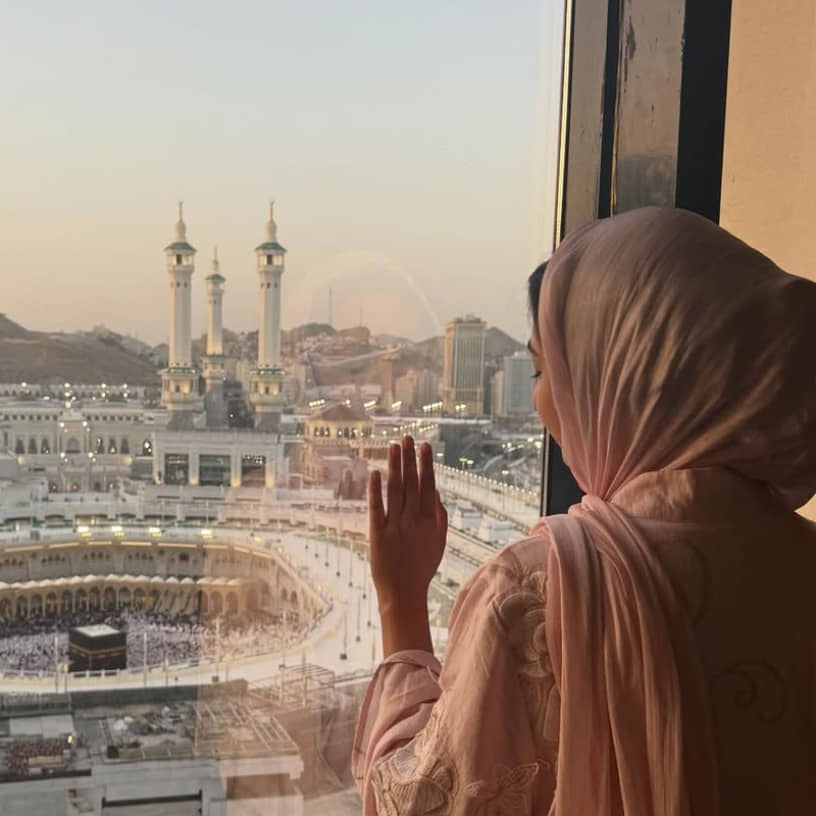 Description of the pic