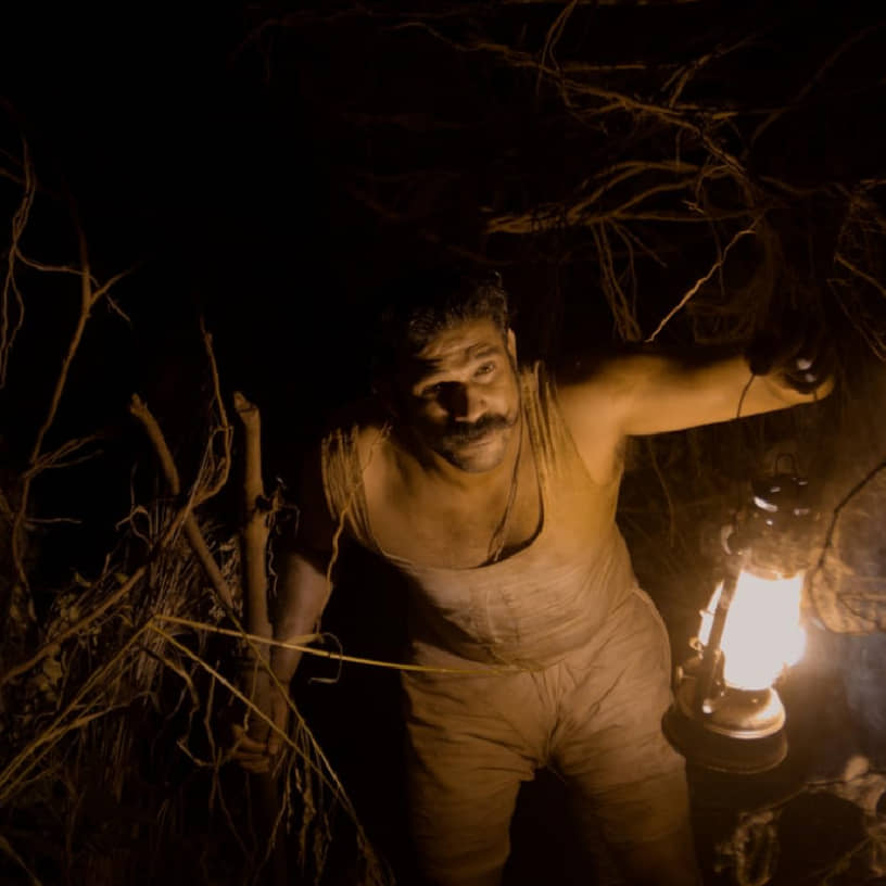 Description of the pic