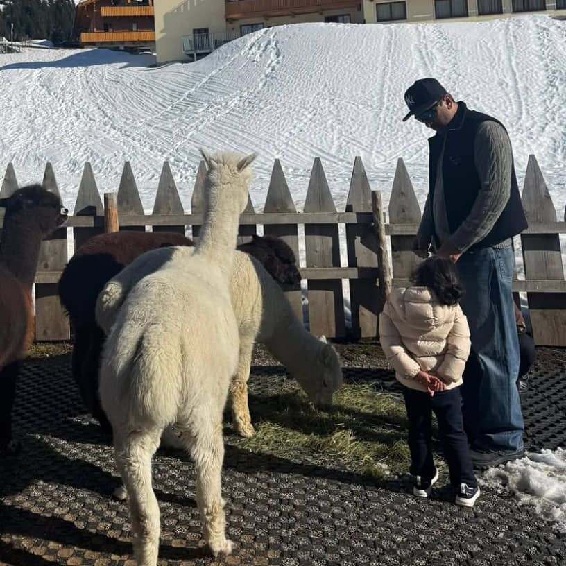 Description of the pic