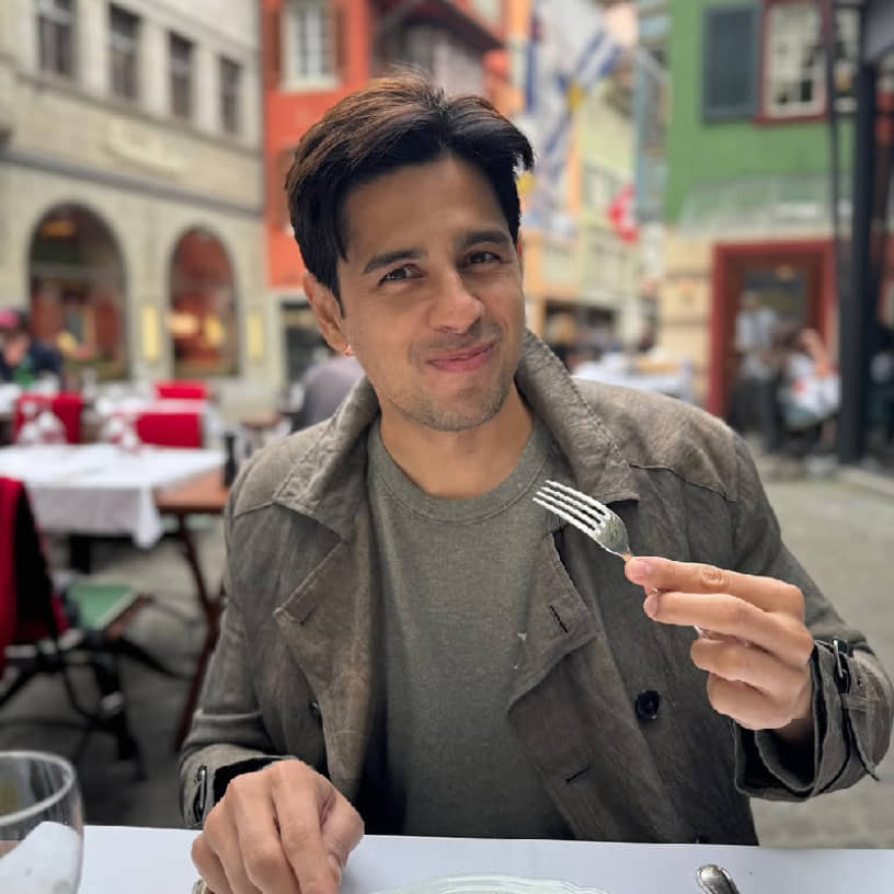 Description of the pic