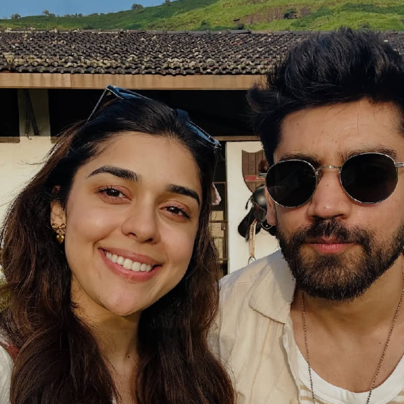 Description of the pic