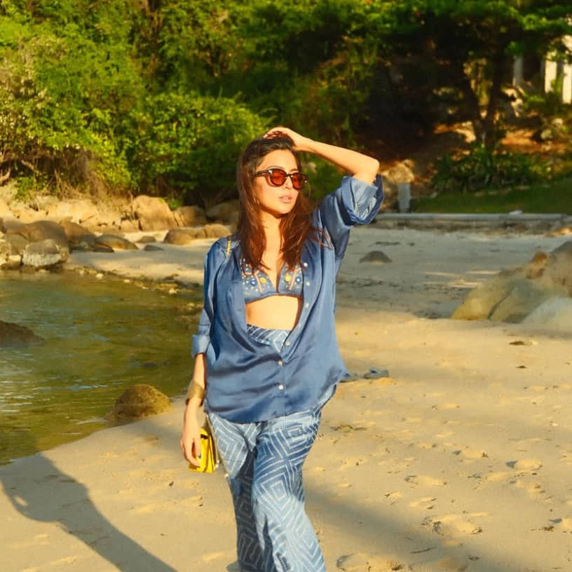 Description of the pic