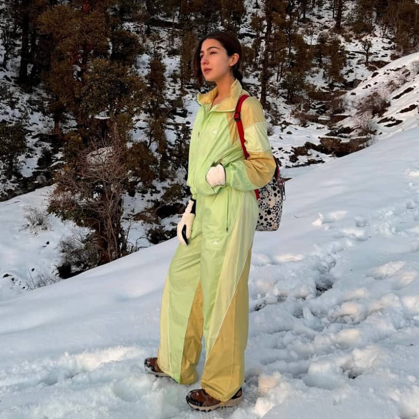 Description of the pic