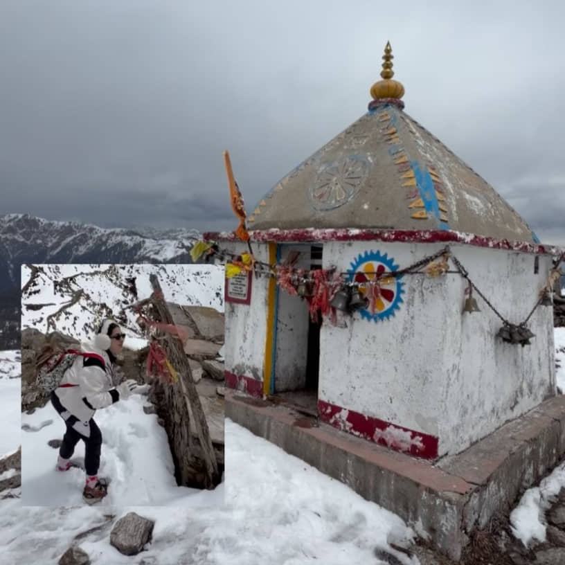 Description of the pic