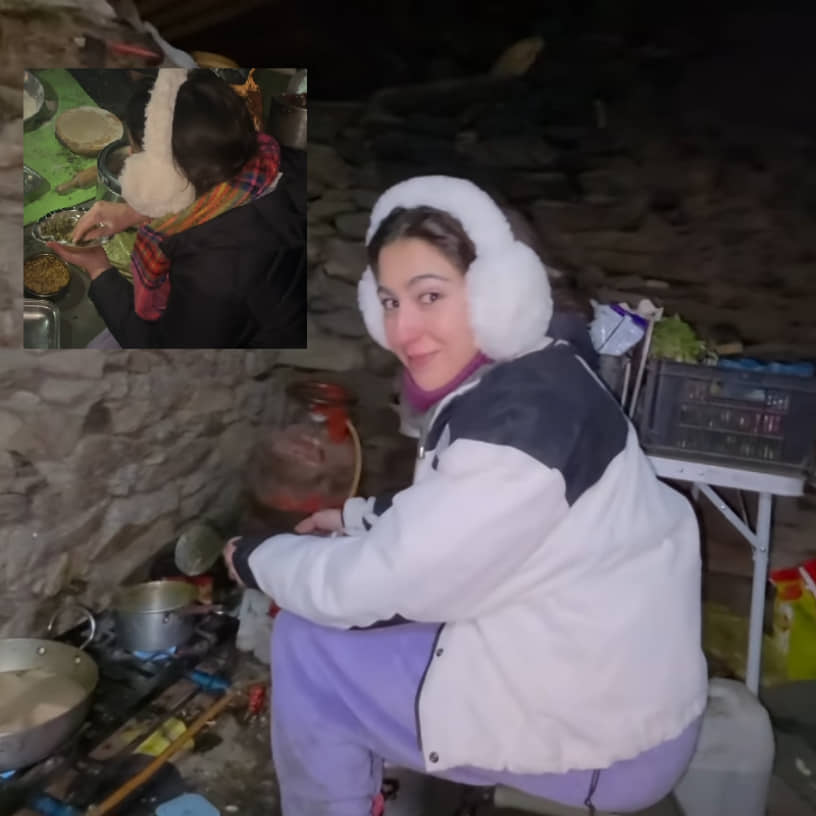 Description of the pic