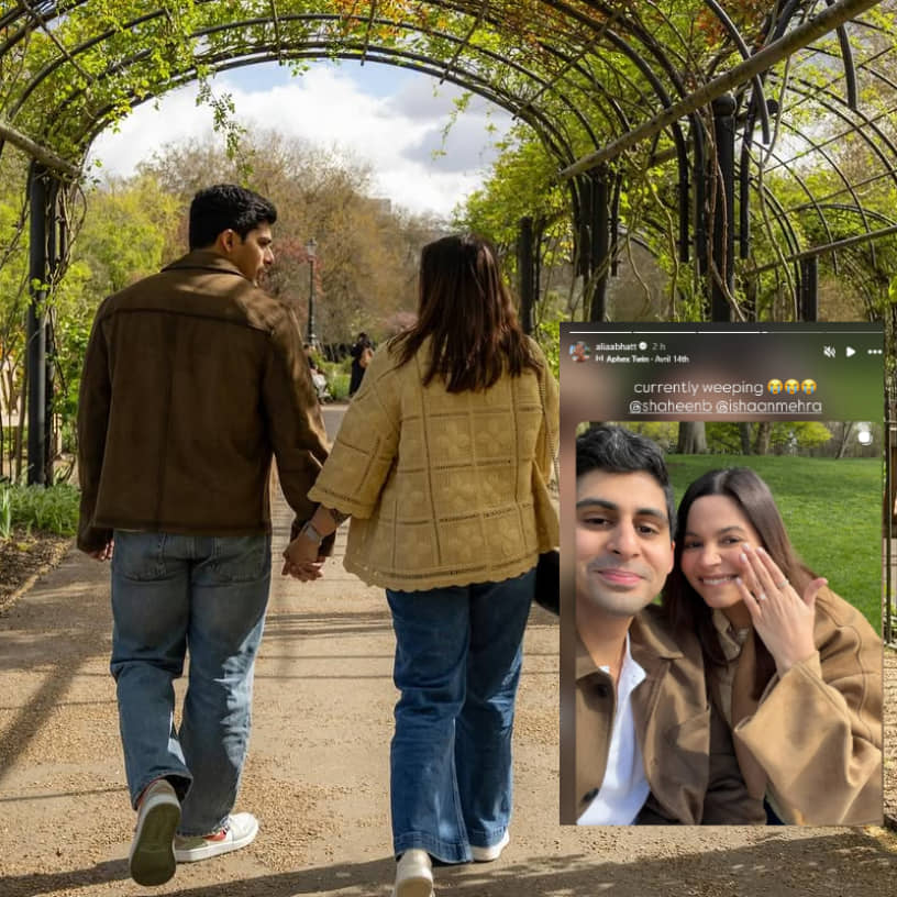 Description of the pic