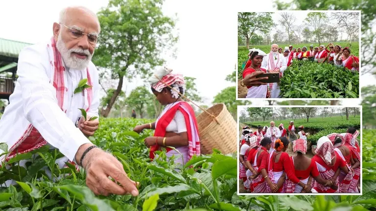 महिला श्रमिकों संग चुनी पत्तियां, खिंचवाई सेल्फी और... PM मोदी ने चाय बागान दौरे को बताया यादगार, शेयर कीं PHOTOS PM Modi in Assam's Dibrugarh Tea Garden