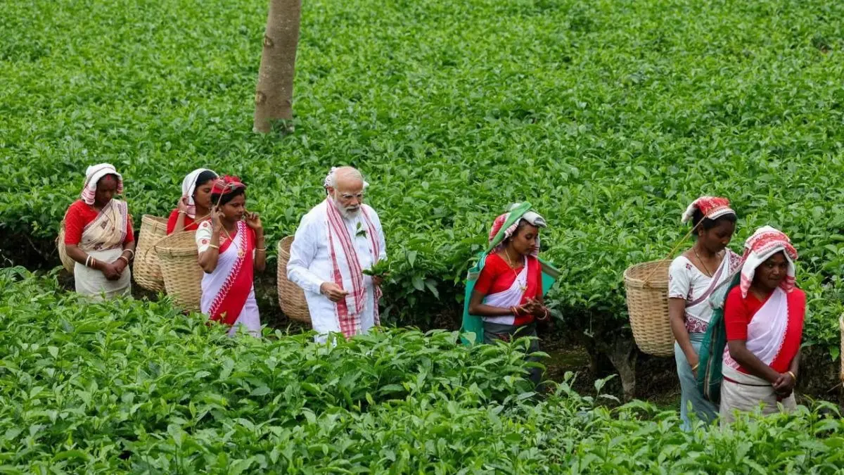 PM Modi Plucks Tea Leaves At Manohari Garden, Takes Selfie With Workers Ahead Of Mega Rallies In Assam | Pictures Inside PM Modi Plucks Tea Leaves At Manohari Garden Ahead Of Mega Rallies For Assam Assembly Elections | Pictures Inside