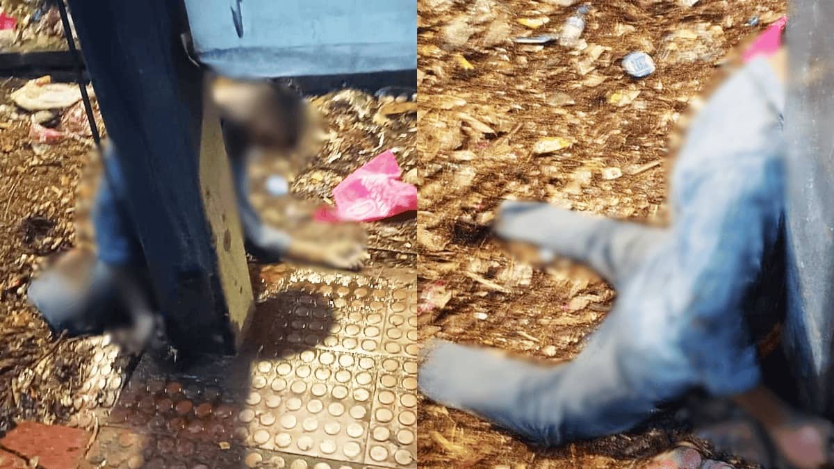 Rain Horror in Bengaluru: Man Electrocuted After Bowring Hospital Collapse Killed 7