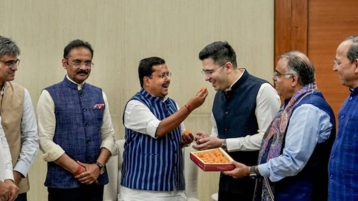 Rajya Sabha Chairman Approves Merger Of 7 AAP MPs With Bharatiya Janata Party; Tally Now Rises To 113