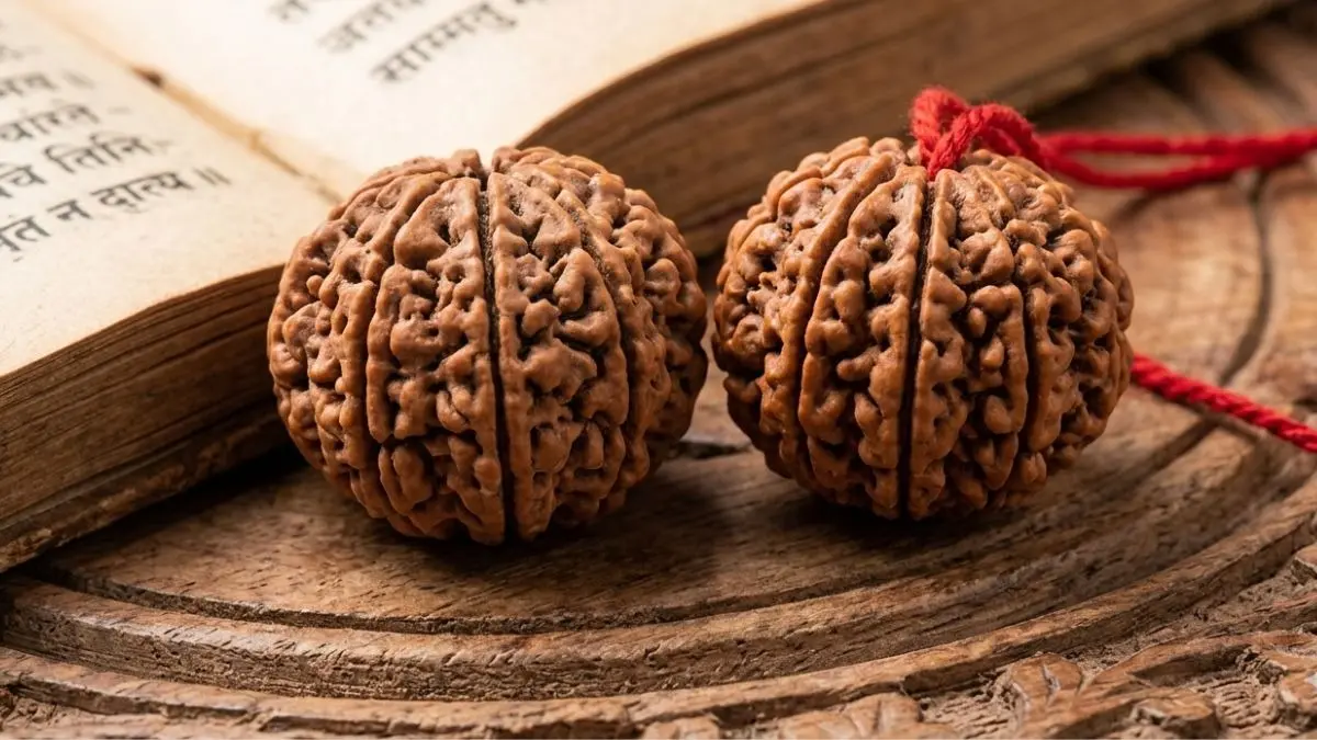 Rudraksha Benefits: करियर और बिजनेस से लेकर मानसिक शांति के लिए बेहद चमत्कारी है ये रूद्राक्ष, जानें पहनने का सही तरीका Rudraksha Benefits