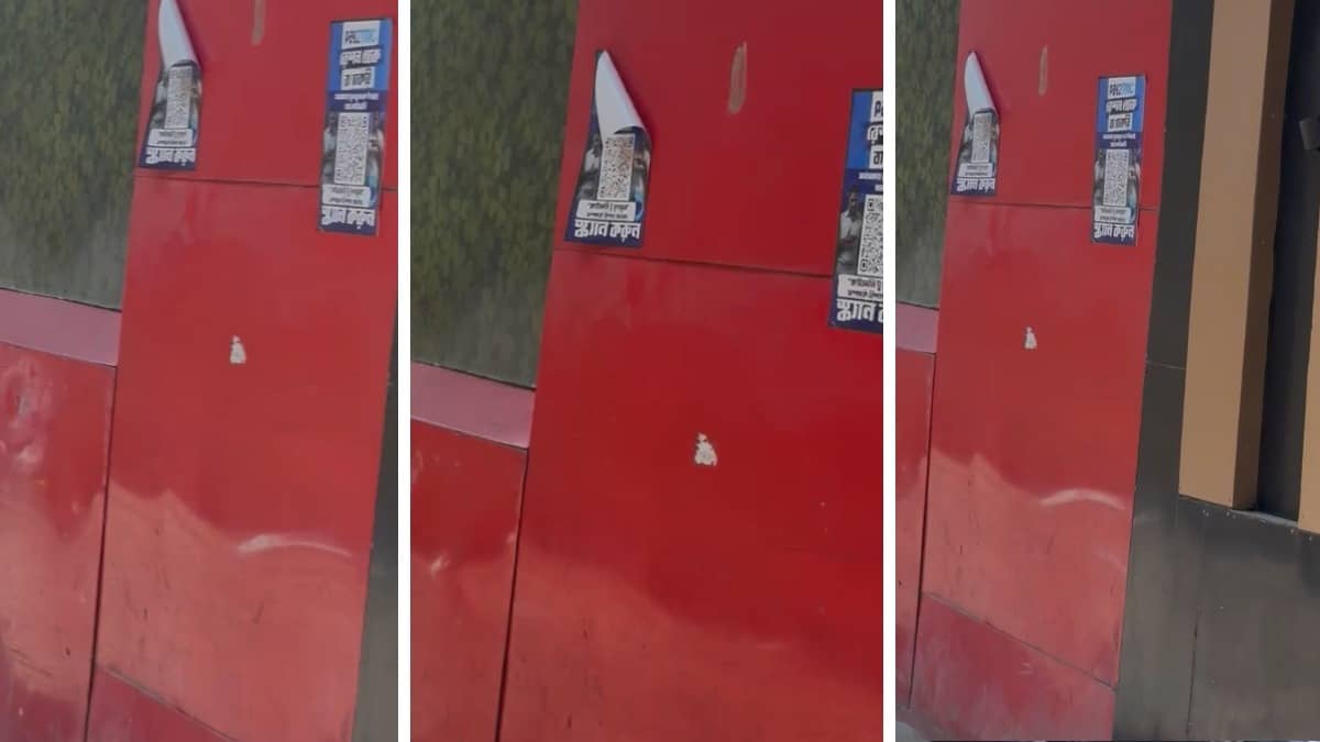 ‘Scan For Ration Or Job’: ‘Pay2TMC’ Posters Appear Across Kolkata, Stir Buzz Ahead of Polls