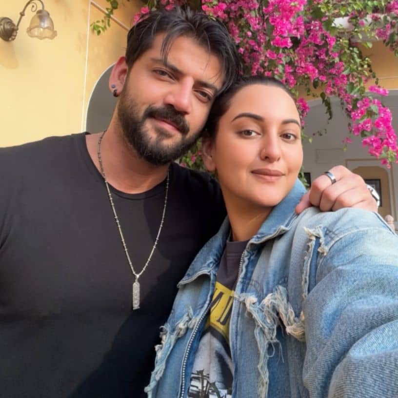 Description of the pic