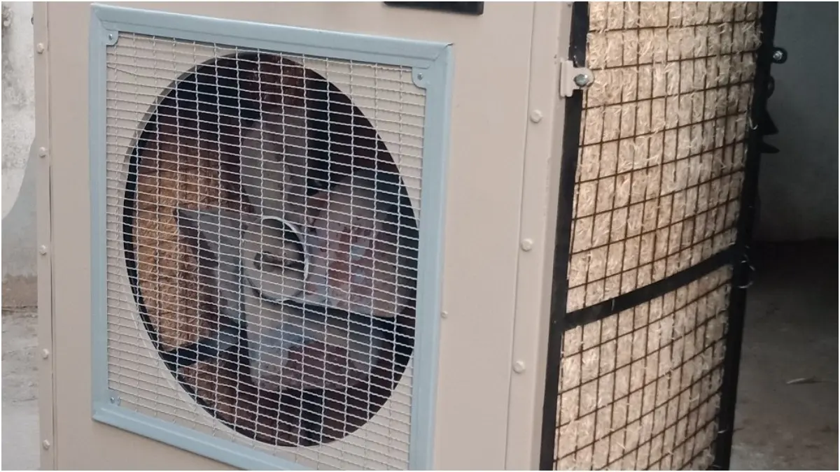 Adding This To Your Cooler Will Help Keep The Water Clean For Long Periods Stagnant water in cooler emits a foul smell and is a breeding ground for mosquitoes