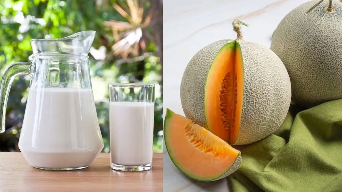 Sweet Melon: गर्मियों में भूलकर भी न मिलाएं दूध और खरबूजा, सेहत को हो सकता है नुकसान; जानिए इसके साइड इफेक्ट्स Sweet Melon