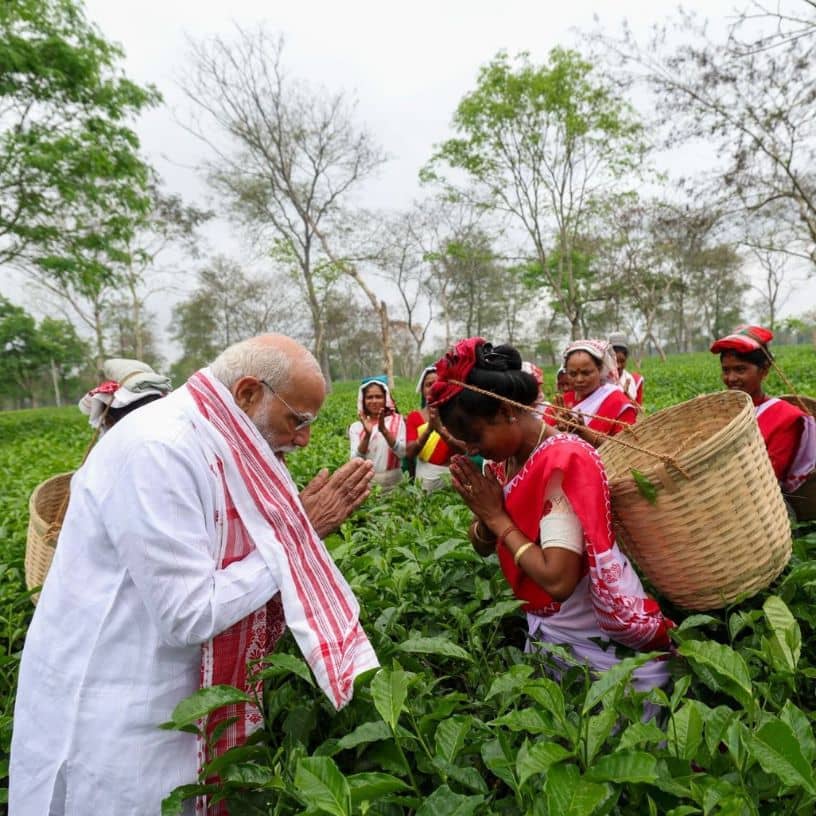 Description of the pic