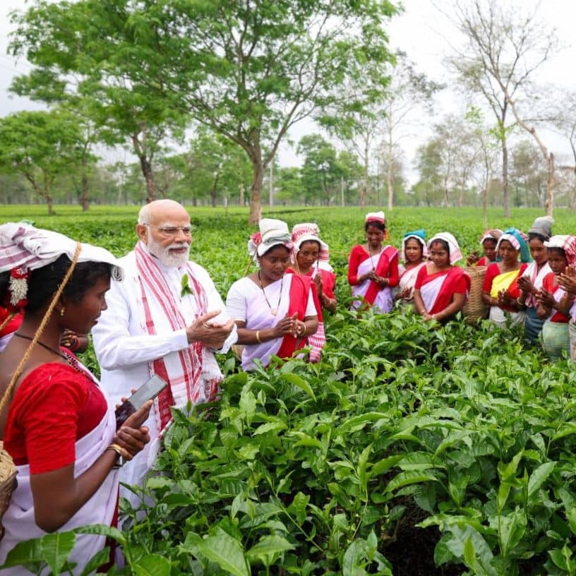 Description of the pic