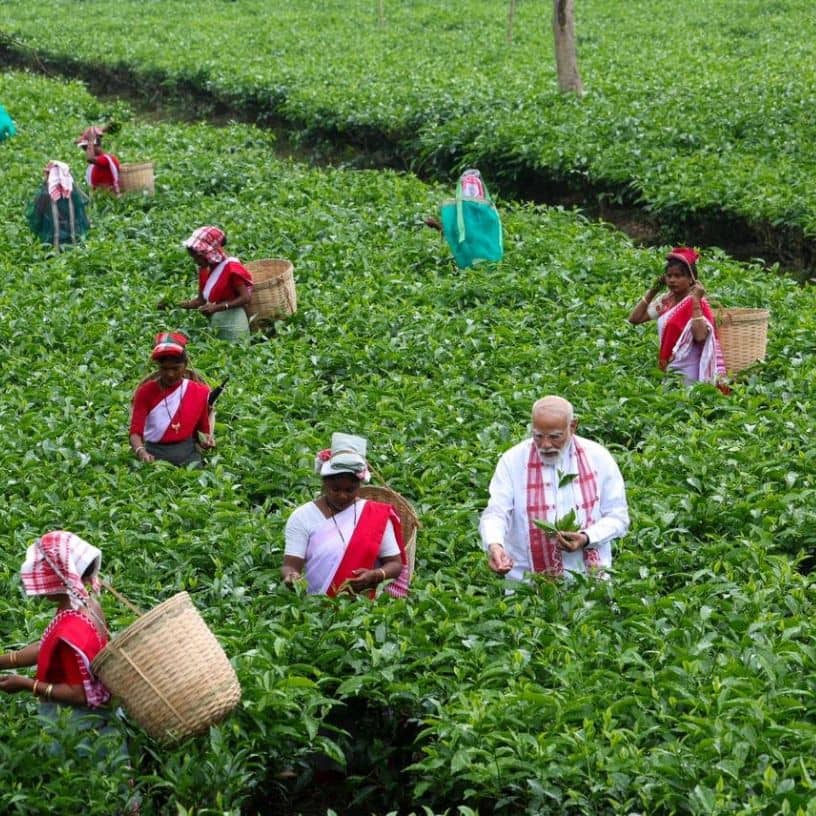 Description of the pic