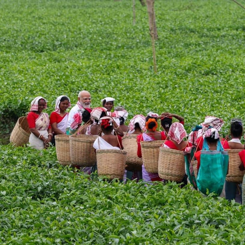 Description of the pic