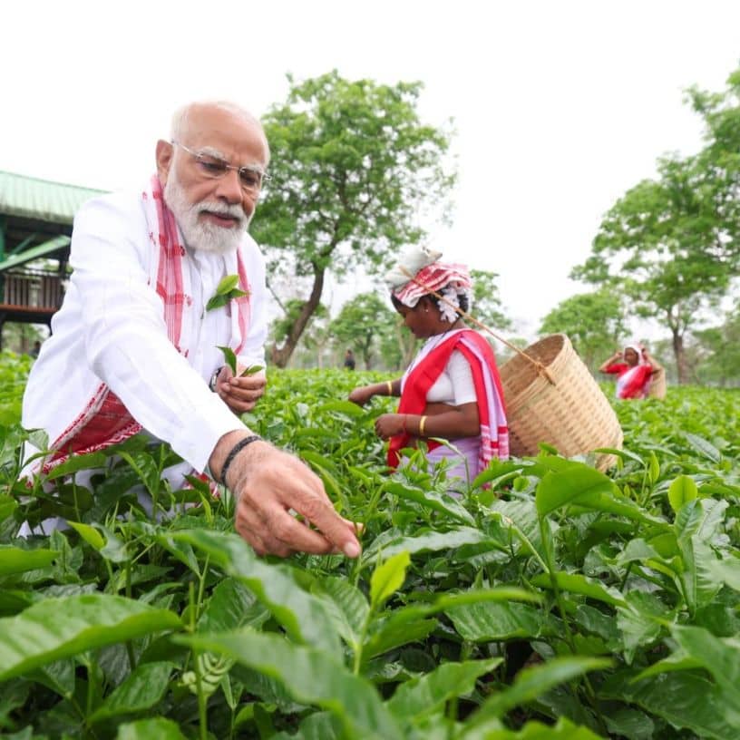 Description of the pic