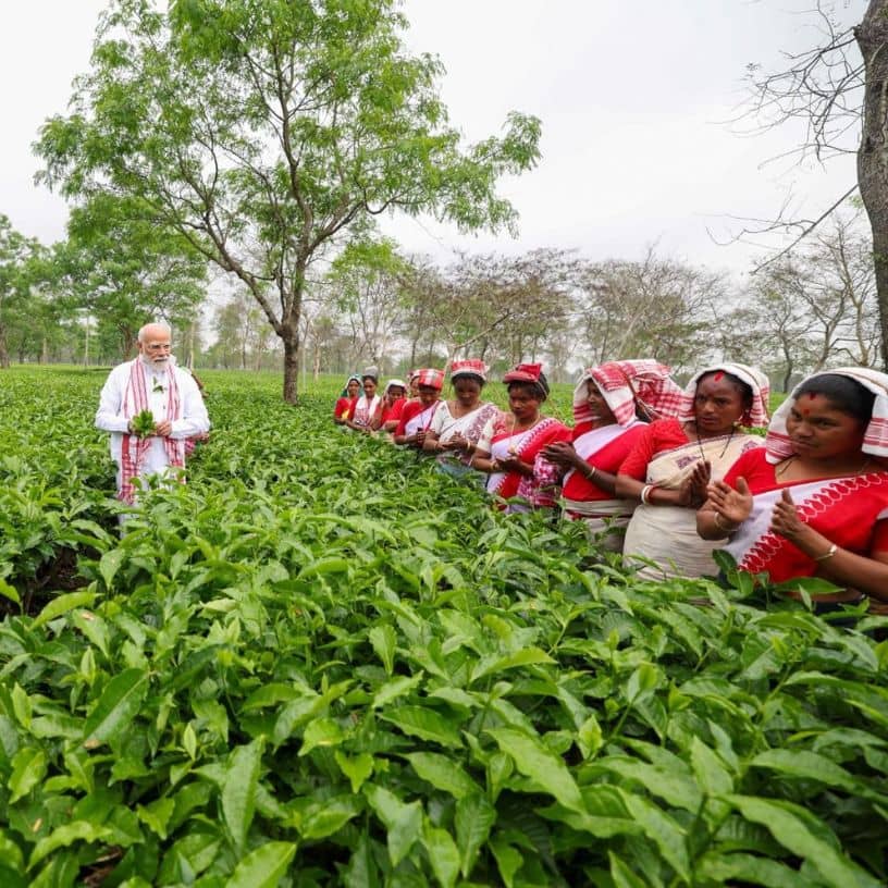 Description of the pic