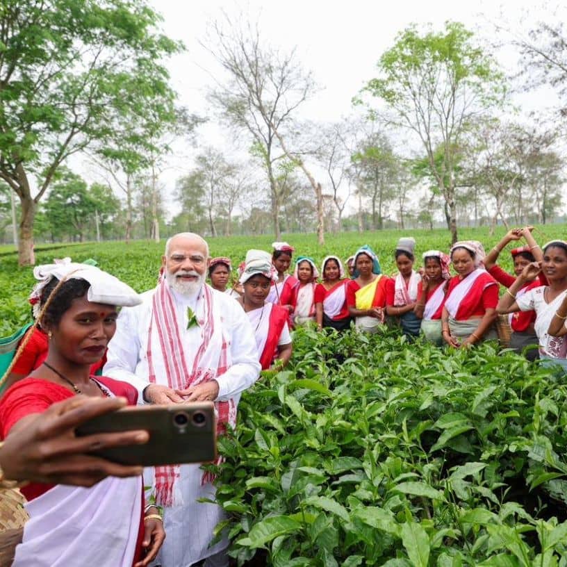 Description of the pic