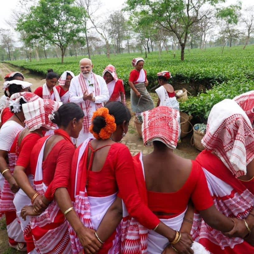 Description of the pic